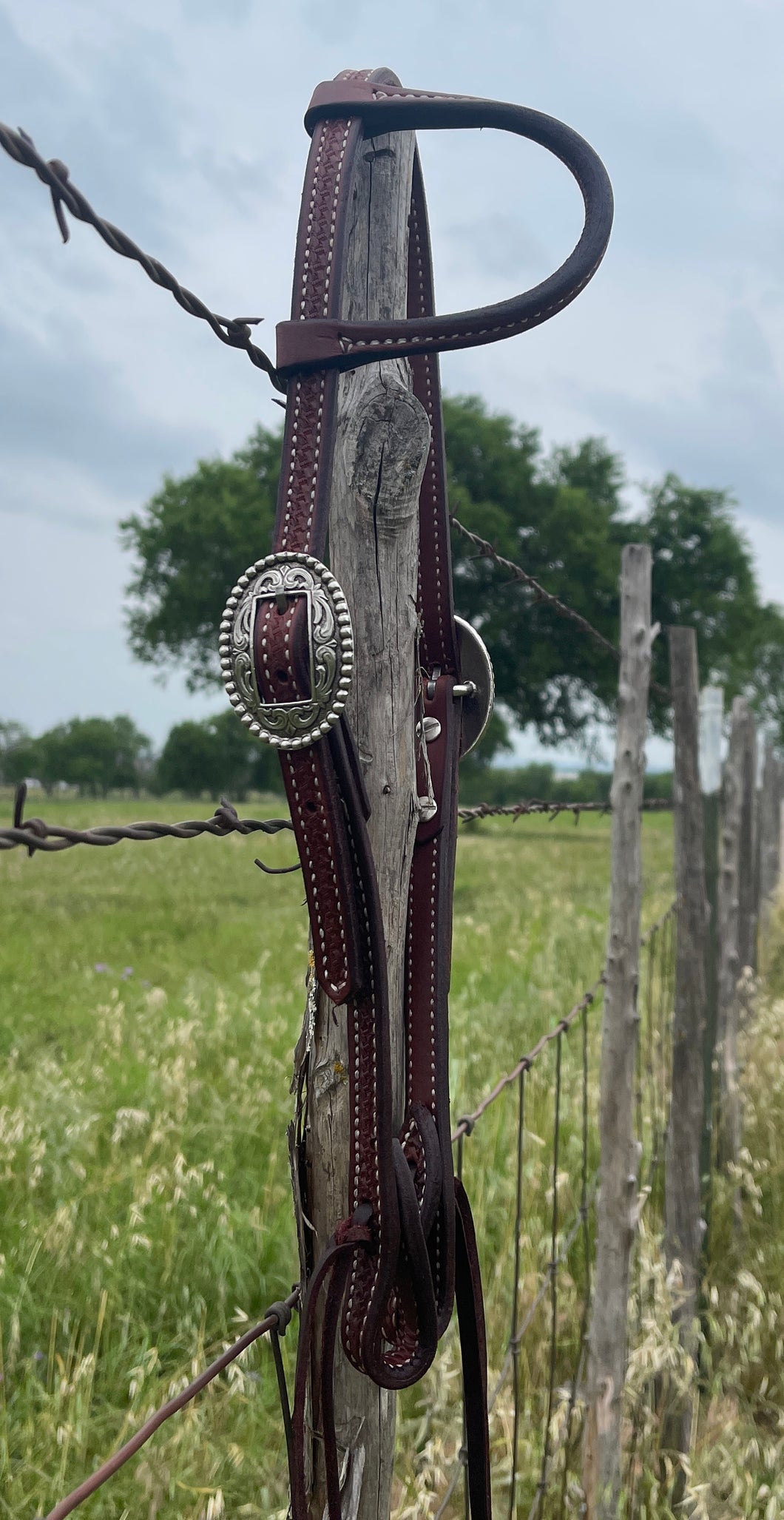 Headstalls
